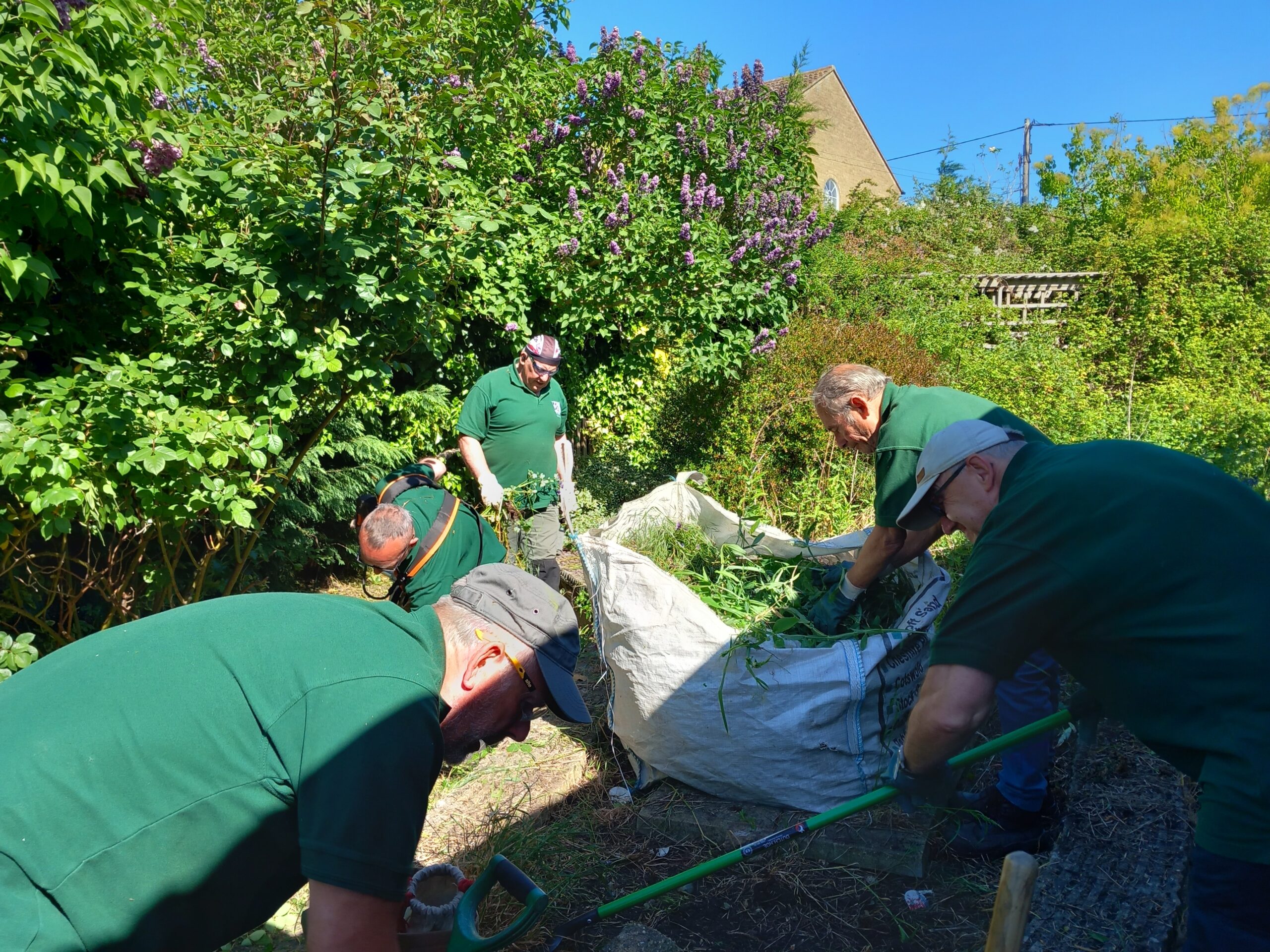 Gardening 2025 photo